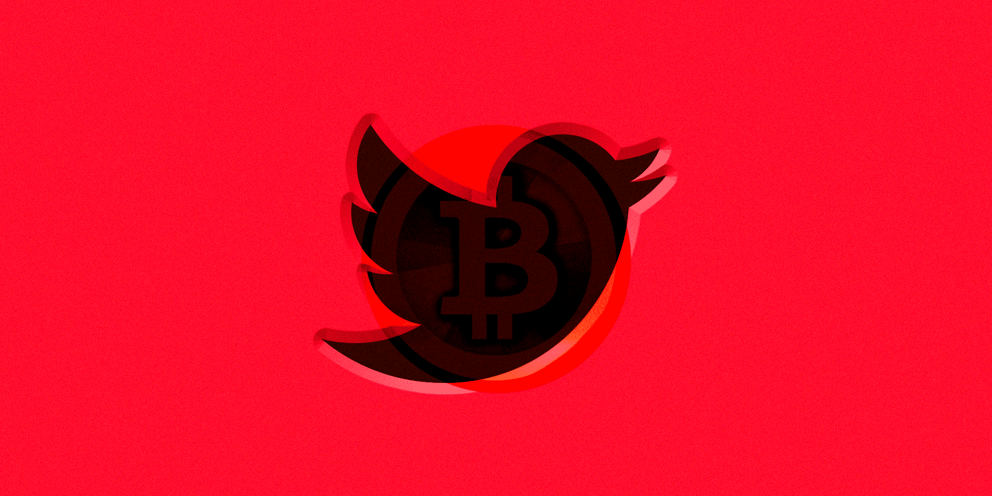 twitter hacker piratage